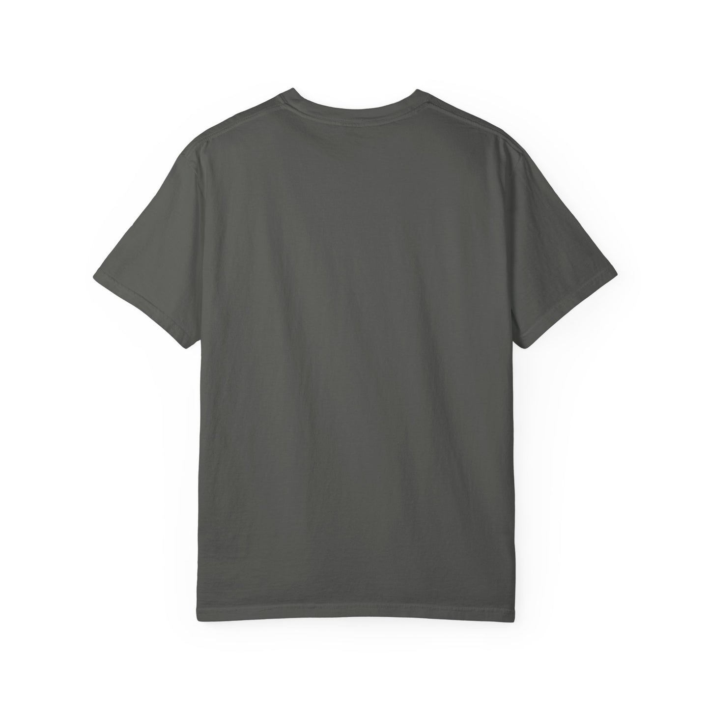 "Pet Hair Everywhere, Part of the Décor" Funny Pet Owner T-Shirt
