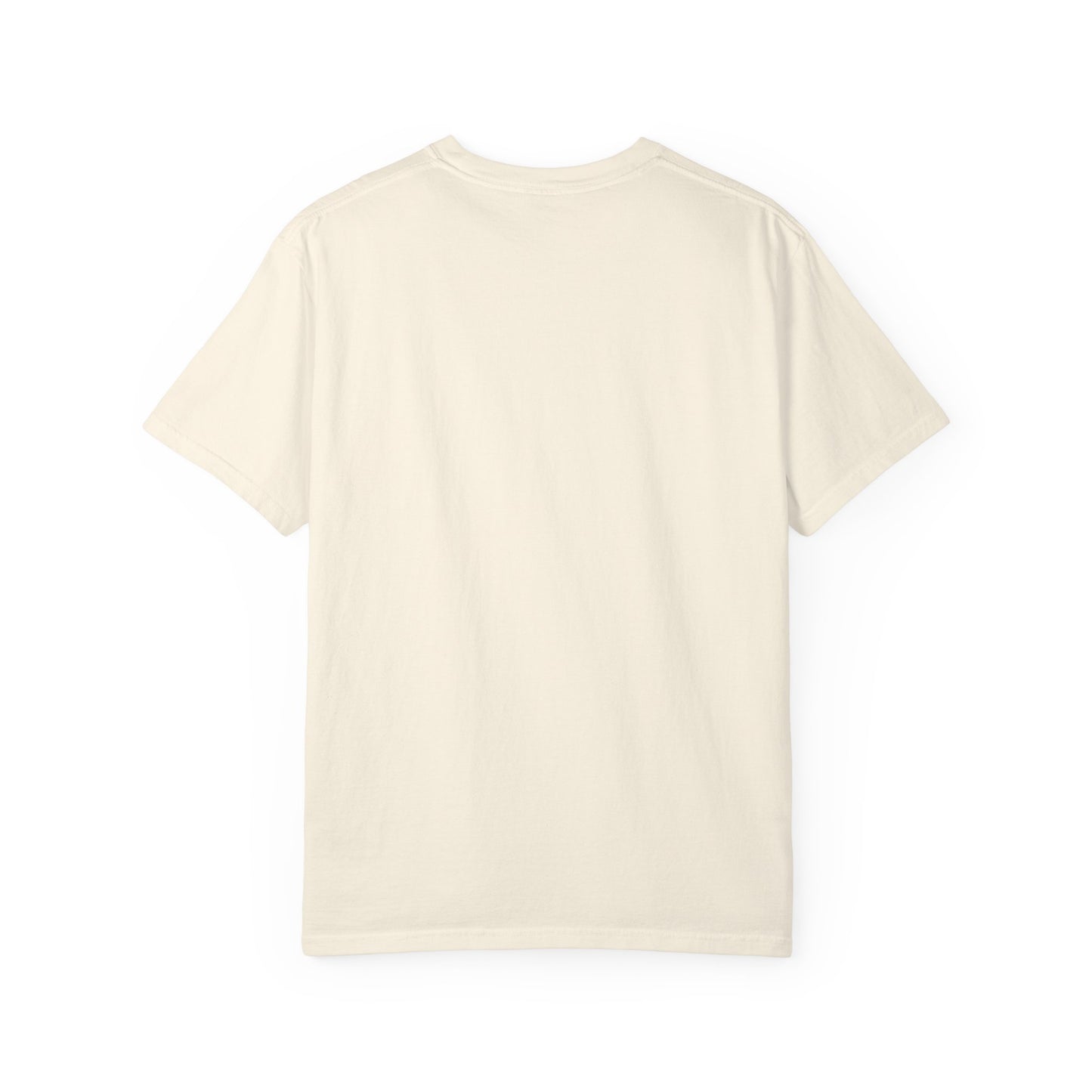 "Pet Hair Everywhere, Part of the Décor" Funny Pet Owner T-Shirt